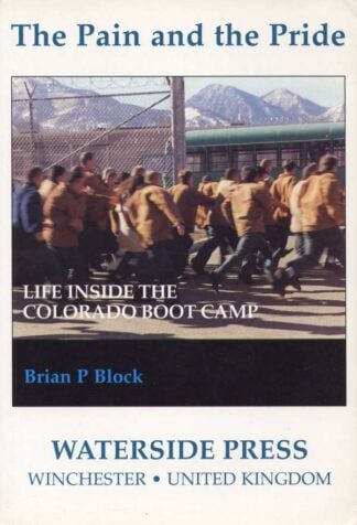 The Pain and The Pride by Brian P Block - book cover